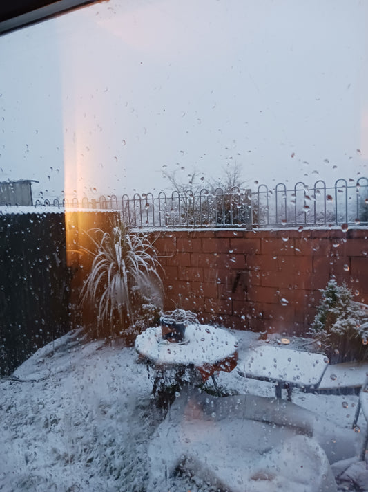 "Interesting Picture Of Snow, January 5th, 2025, by Damien Leech"