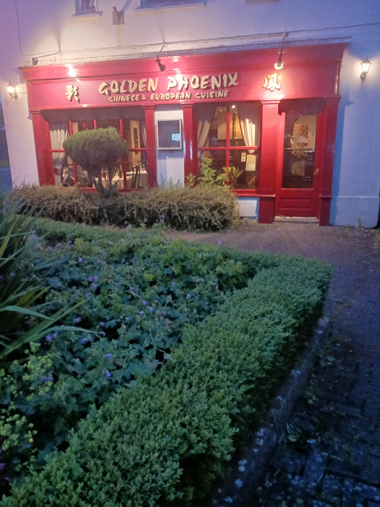 "The Golden Phoenix Restaurant, Dunshaughlin, Ireland" Photograph by Damien Leech