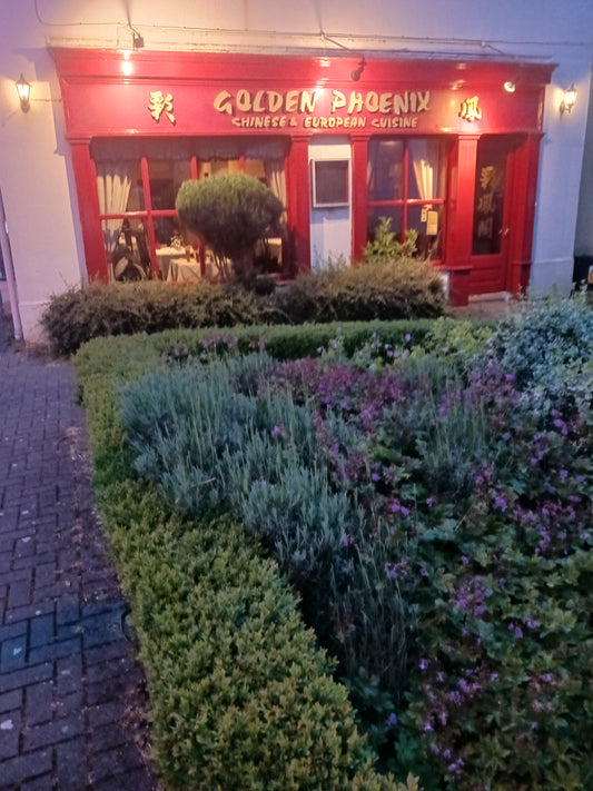 "The Golden Phoenix Chinese Restaurant, Dunshaughlin, County Meath, Ireland" Photograph by Mr Damien Leech