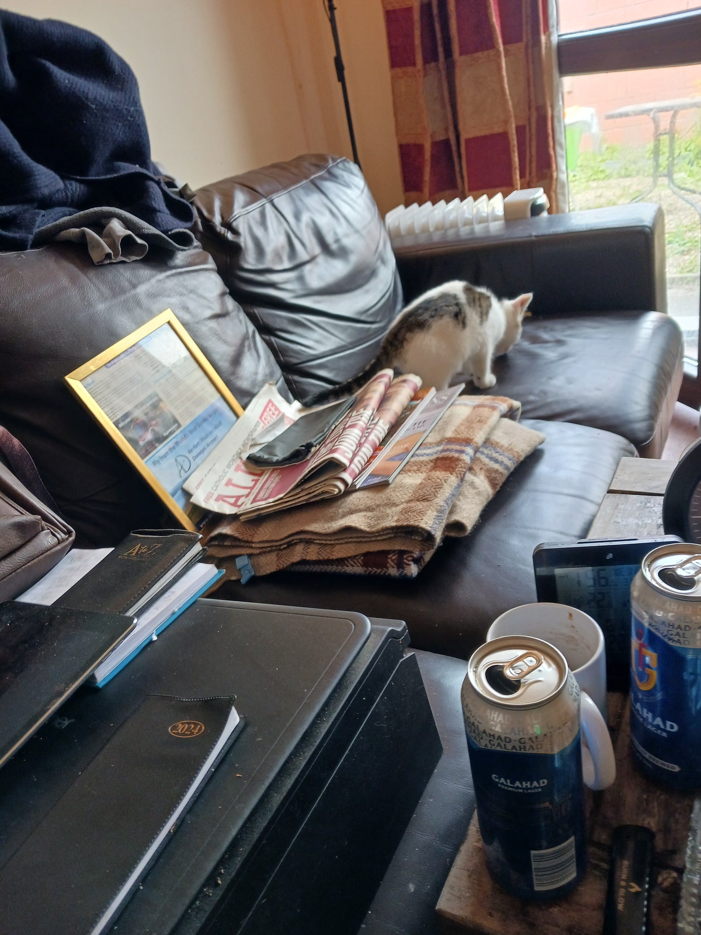 "My Cat, The Detective And Journalist!" Photograph By Damien Leech