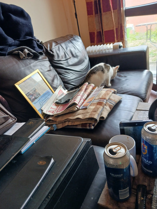 "My Cat, The Detective And Journalist!" Photograph By Damien Leech