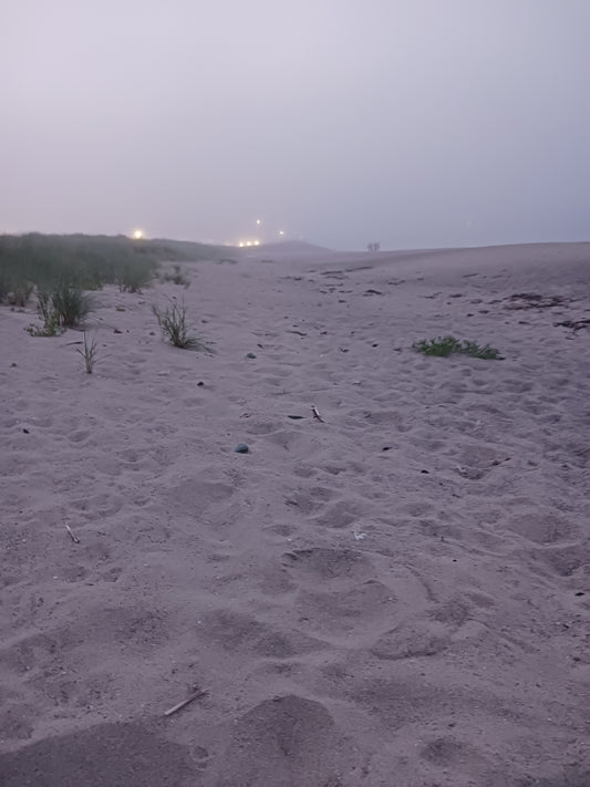 "The Beach At Rosslare Europort, June 2025!" Photograph by Mr Damien Leech