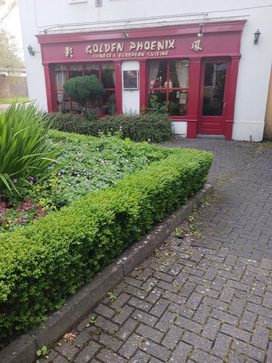 "The Golden Phoenix Chinese Restaurant, Dunshaughlin, County Meath, Ireland" Photograph by Mr Damien Leech