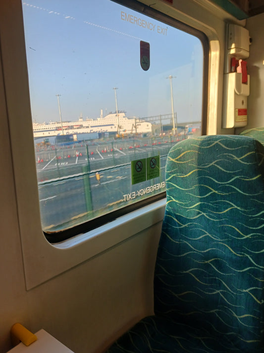 "Emergency Exit? Get Out Of Ireland?" Photograph by Damien Leech
